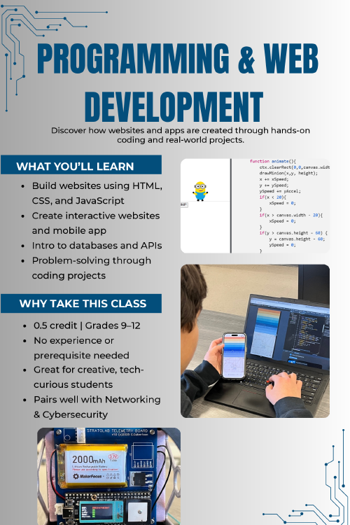 Programming & Web Development Course Flyer